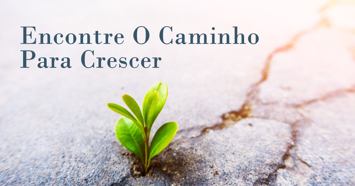 Banner do Caminho para Crescer